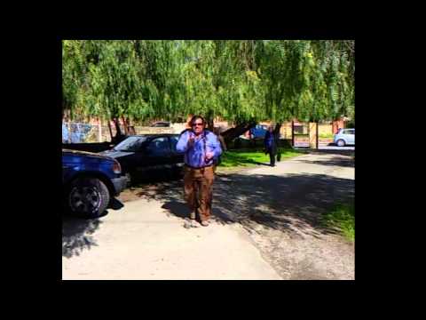 "THE BOSS" - Verba Volant