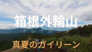 箱根ガイリーン