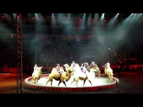 Ringling Brothers and Barnum & Bailey Circus Xtreme Farewell Performance 2017