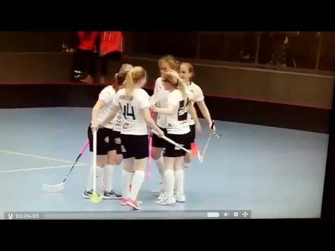 TPS Salibandy naiset & Iina Siirilä taistelee! (vaikka häviääkin, tällä kertaa!)