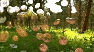 Dear Younger Generations