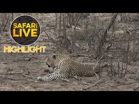 Tingana and Tlalamba share a little father and daughter bonding time