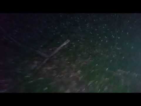 Pato w roli śmierci przychodzi po majora do lasu