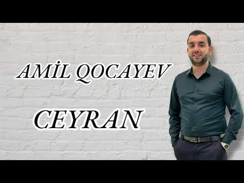 Amil Qocayev - Ceyran 2025