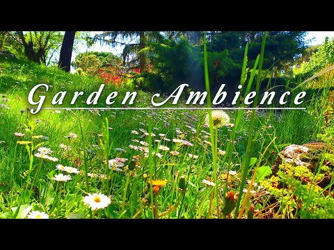 Healing Nature Meditation ???? GARDEN AMBIENCE ???? Relaxing Spring Sounds on a Lovely Sunny Morning