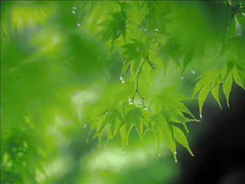 Old HouseTracks replayed by Modestino -Track 1 - My Love - Michael Watford - Modestino's reedit.wmv