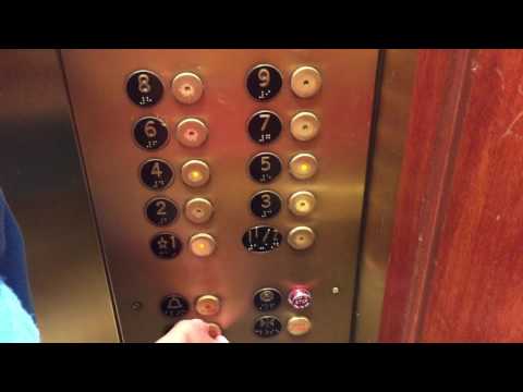 OTIS Traction Elevators @ Macy's, New York City, NY