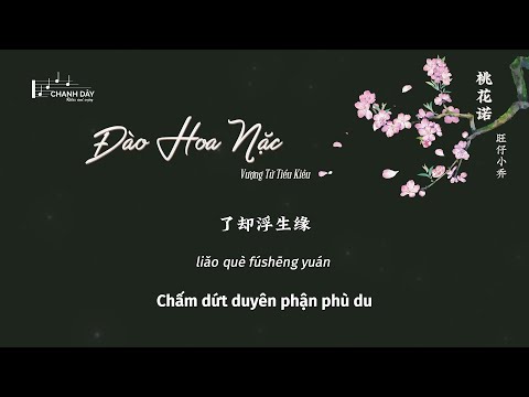 [Vietsub] Đào Hoa Nặc (桃花诺) - Vượng Tử Tiểu Kiều (旺仔小乔) - Hot Douyin