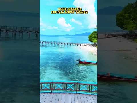 OMBIN ARBOREK BIN RAJA AMPAT