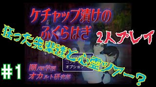 【ケチャップ漬けのふくらはぎ】狂った先輩たちと心霊ツアー part1