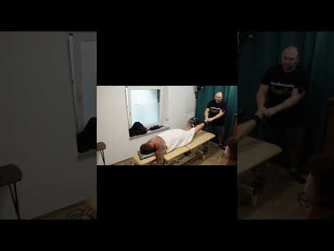 Knochenbrecher bei der Arbeit  ASMR  #funny #Shorts