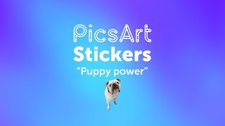 Puppy Power With PicsArt Stickers!