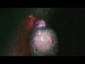 Mono - Are you there?