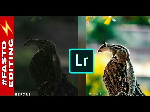 Lightroom 9 tutorial - Edit Animal Photos in Lightroom CC Tutorial