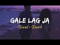Meri Pehli Mohabbat Hai - (Slowed + Reverb) | Gale Lag Ja | Chilled Vibes