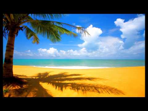 Electro & House 2011 Dance Mix #1 (HD)