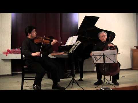 Gabriel Faure's Piano Trio in D minor, Mov. 1