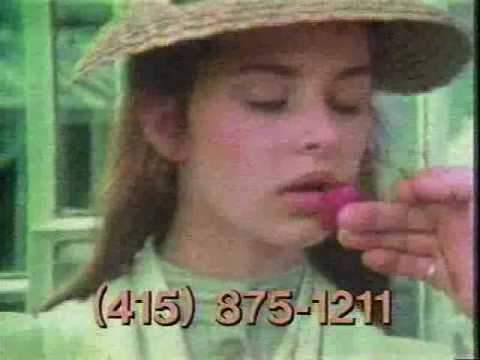 KTSF ID / Star TV Open - 1982