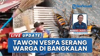 Berjibaku Musnahkan Sarang, Koloni Tawon Vespa Serang Warga dan Personel Damkar Bangkalan