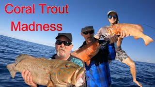 Best fishing day EVER - Part 1 Coral Trout madness!!!