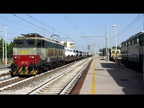 E656.607,Doppie di caimani,invii e molto altro a Montesilvano - Giugno 2019