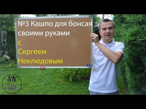 3. Плошка для Фикуса. Советы от Сергея Неклюдова