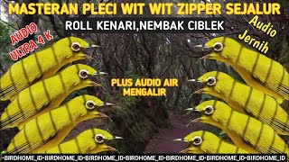 Download lagu Masteran Pleci wit wit zipper mudah ditiru Burung pleci bahan & gacoran • terapi pleci air mengalir mp3 Download lagu Masteran Pleci wit wit zipper mudah ditiru Burung pleci bahan & gacoran • terapi pleci air mengalir mp3
