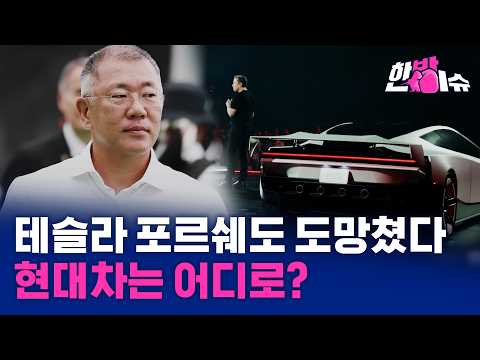 테슬라 포르쉐도 도망쳤다...현대차는 어디로?ㅣ머스크의 2년 전 경고가 현실로 ㅣ중국차 피해 '위로 위로'[한방이슈]