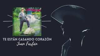 Te Están Casando Corazón Lyrics English Translation