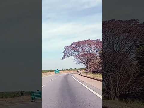 OLIVEIRA ATÉ SANTO ANTÔNIO DO AMPARO-MG🛣️🚙🌎#minasgerais#santoantoniodepadua#oliveira#lavras#shorts