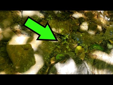 It Was Lost Around 5,000 Years Ago