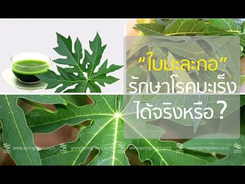 เมล็ดตำแยสำหรับความอ่อนแอ ผู้หญิงวิธีที่จะกระตุ้นการเคลื่อนไหวของมือ