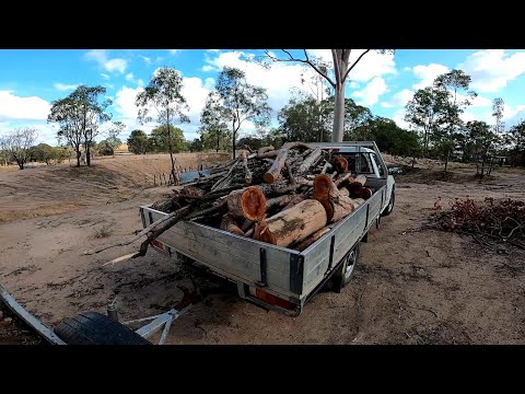 Zuviel Holz vor der Hütte. Wo soll das nur alles hin?