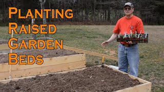 Planting Raised Garden Beds