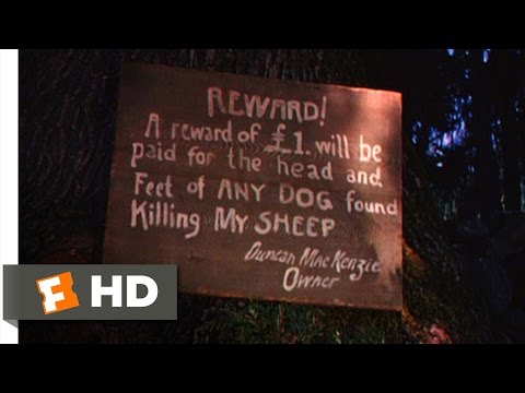 Lassie Come Home (5/10) Movie CLIP - Dog Fight (1943) HD
