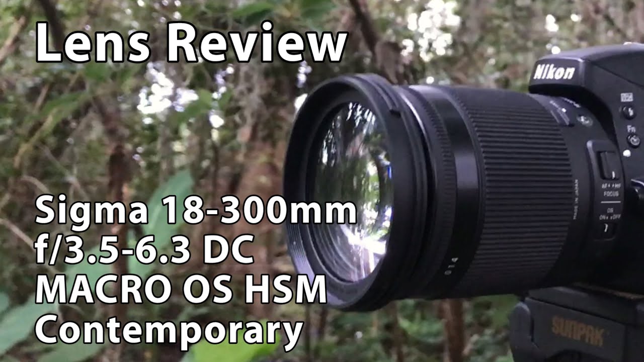 Video thumbnail for Video Review 2