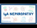 IgA nephropathy - causes, symptoms, diagnosis, treatment, pathology