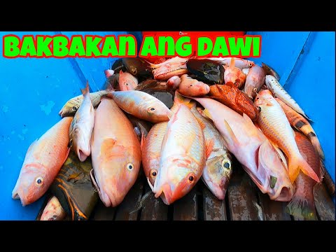 NAPAKARAMING ISDA sa Spot na'to Part 1