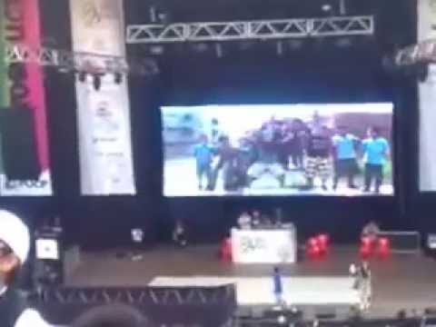 BLASSER & BLAXIMENTAL (SOUNDIEGOFAMILY) || FESTIVAL PURA CALLE || EN VIVO 2014