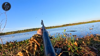 Solo Duck Hunt from a Pirogue