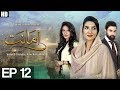 Amanat - Episode 12 | Urdu1 Drama | Rubab Hashim, Noor Hassan