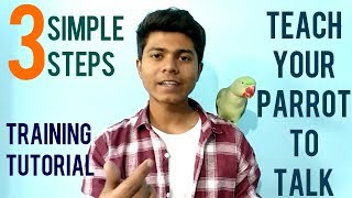 How To Train Parrot To Talk? | Training Tutorial | Teaching Alexanderine Parrot to Talk | (Hindi)