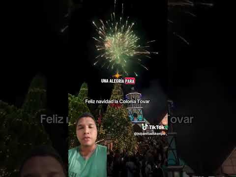 #coloniatovar #aragua #fyp #navidad #paz