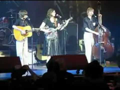 Cats and the Fiddler - Detroit Music Awards