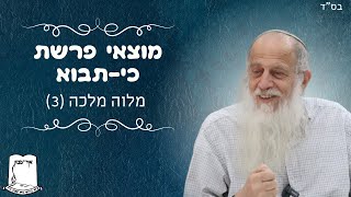 מלווה מלכה פרשת כי-תבוא | מלוה מלכה | חלק 3 | רה''י הרב שמעון לפיד שליט''א (ישיבת אור עציון) - התמונה מוצגת ישירות מתוך אתר האינטרנט יוטיוב. זכויות היוצרים בתמונה שייכות ליוצרה. קישור קרדיט למקור התוכן נמצא בתוך דף הסרטון מלווה מלכה פרשת כי-תבוא | מלוה מלכה | חלק 3 | רה''י הרב שמעון לפיד שליט''א (ישיבת אור עציון) - התמונה מוצגת ישירות מתוך אתר האינטרנט יוטיוב. זכויות היוצרים בתמונה שייכות ליוצרה. קישור קרדיט למקור התוכן נמצא בתוך דף הסרטון