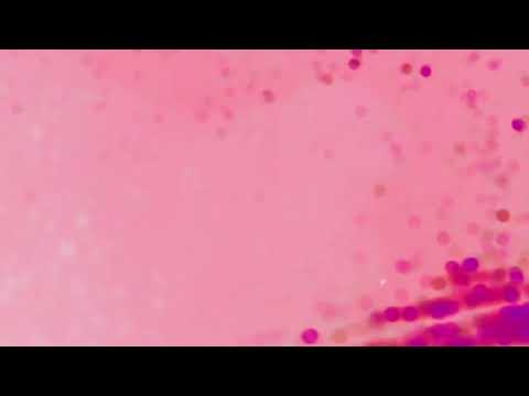 (FREE FOR PROFIT) dvsn x Majid Jordan Type Beat | “Hibiscus” | Lo-fi Pop Instrumental