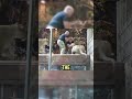 Lioness SAVES Zookeeper from Lion!