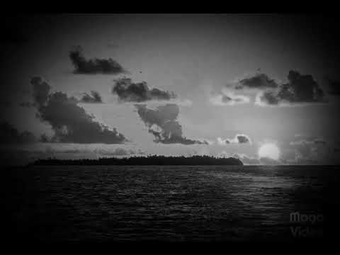 Toku ofa vale ia koe - Semata (Reprise)