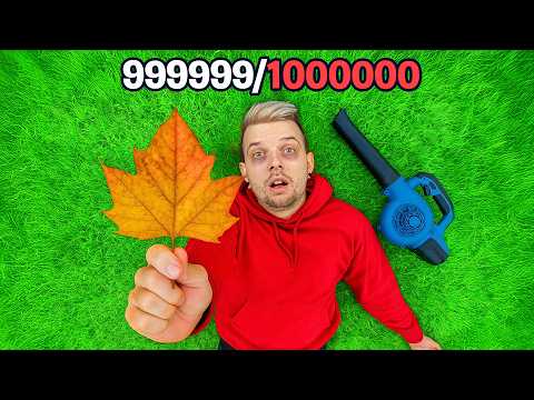 ZEBRAŁEM WSZYSTKIE JESIENNE LIŚCIE!