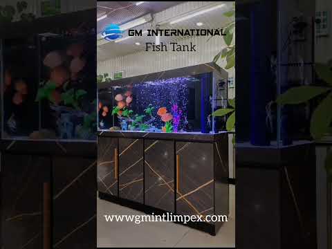 Aquarium Tank